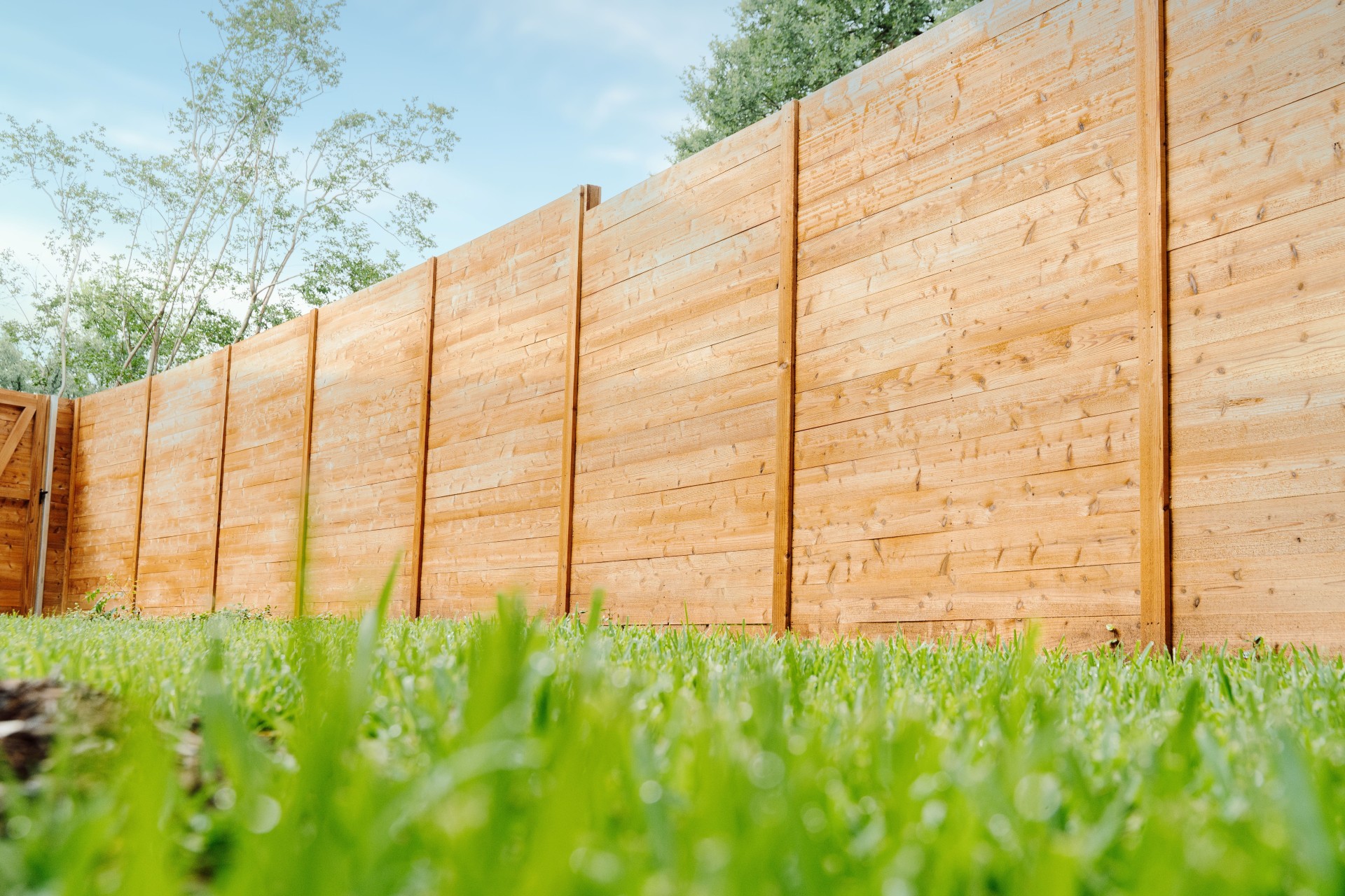 Finished cedar board-on-board privacy fence with greenery, Central Texas, late-afternoon light