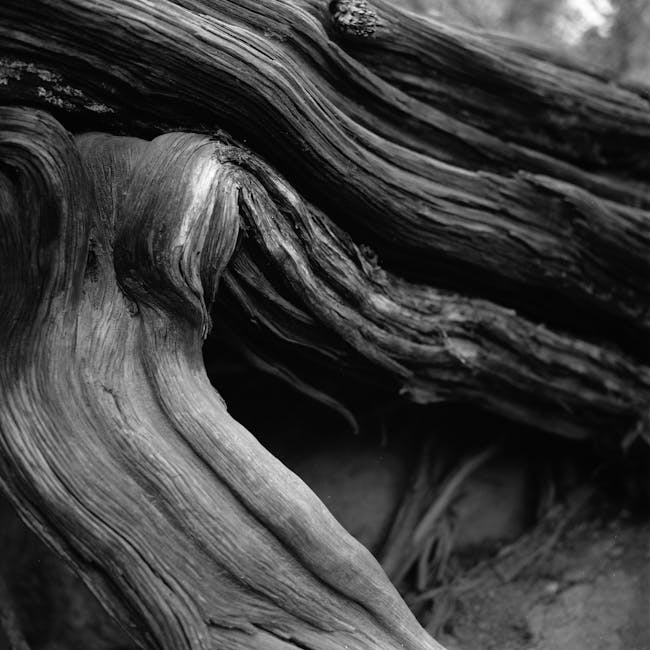 Top-grade cedar wood grain detail, Austex fence material